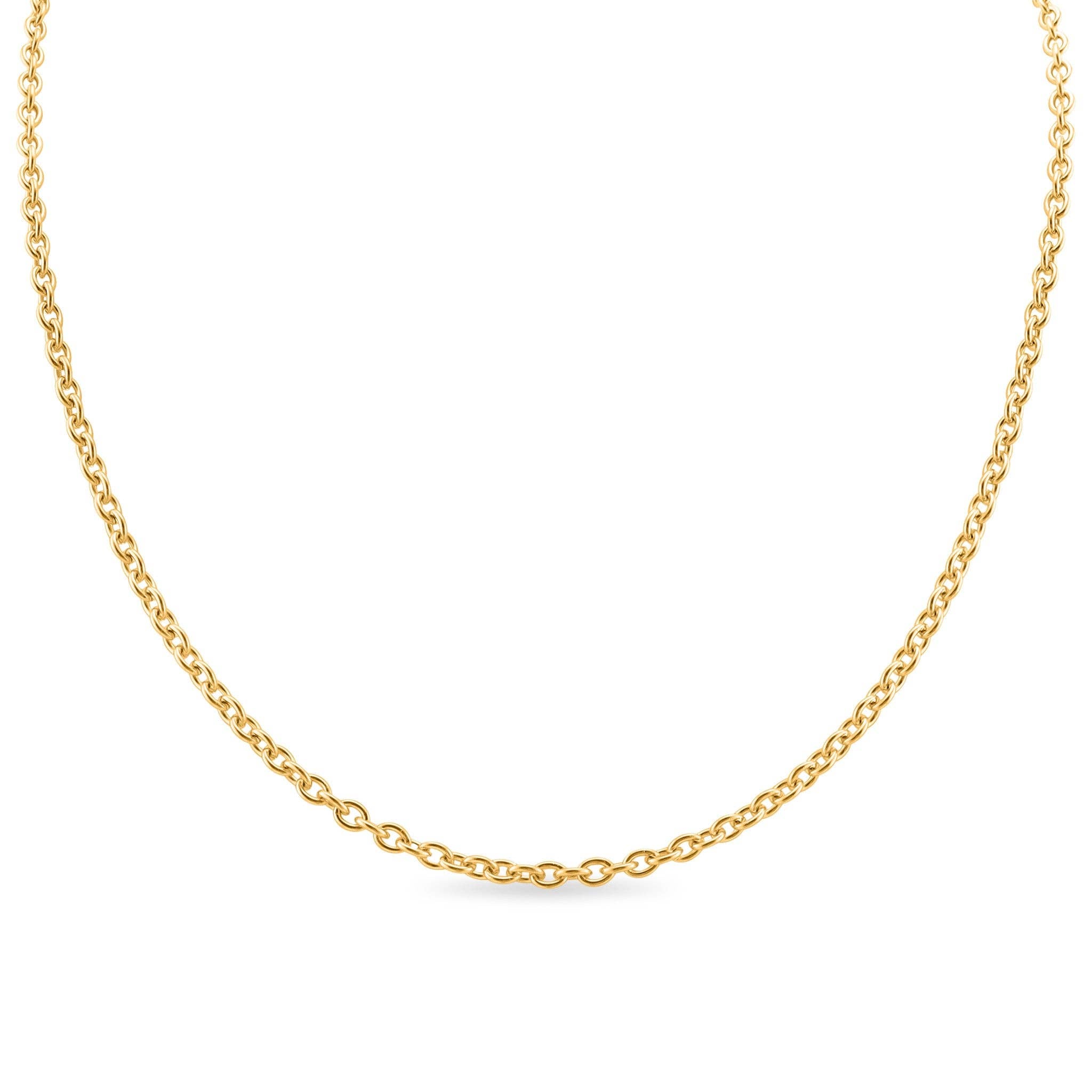 Collar de cadena de eslabones de acero inoxidable: Acero inoxidable / 13 pulgadas+2 pulgadas