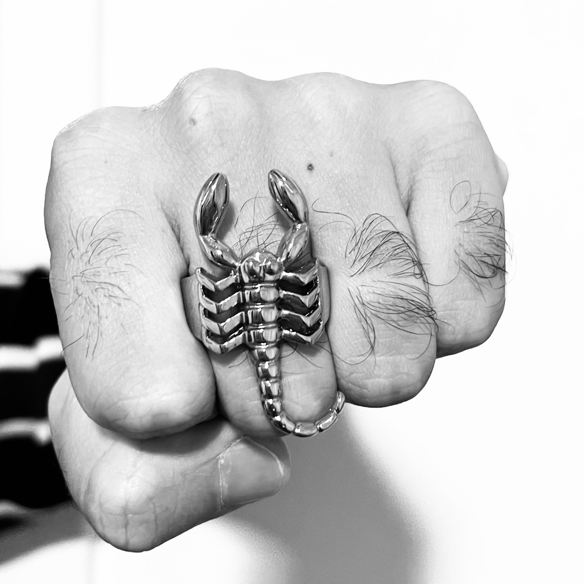 Anillo de acero inoxidable con revestimiento PVD en forma de escorpión para hombre: Acero inoxidable / 10
